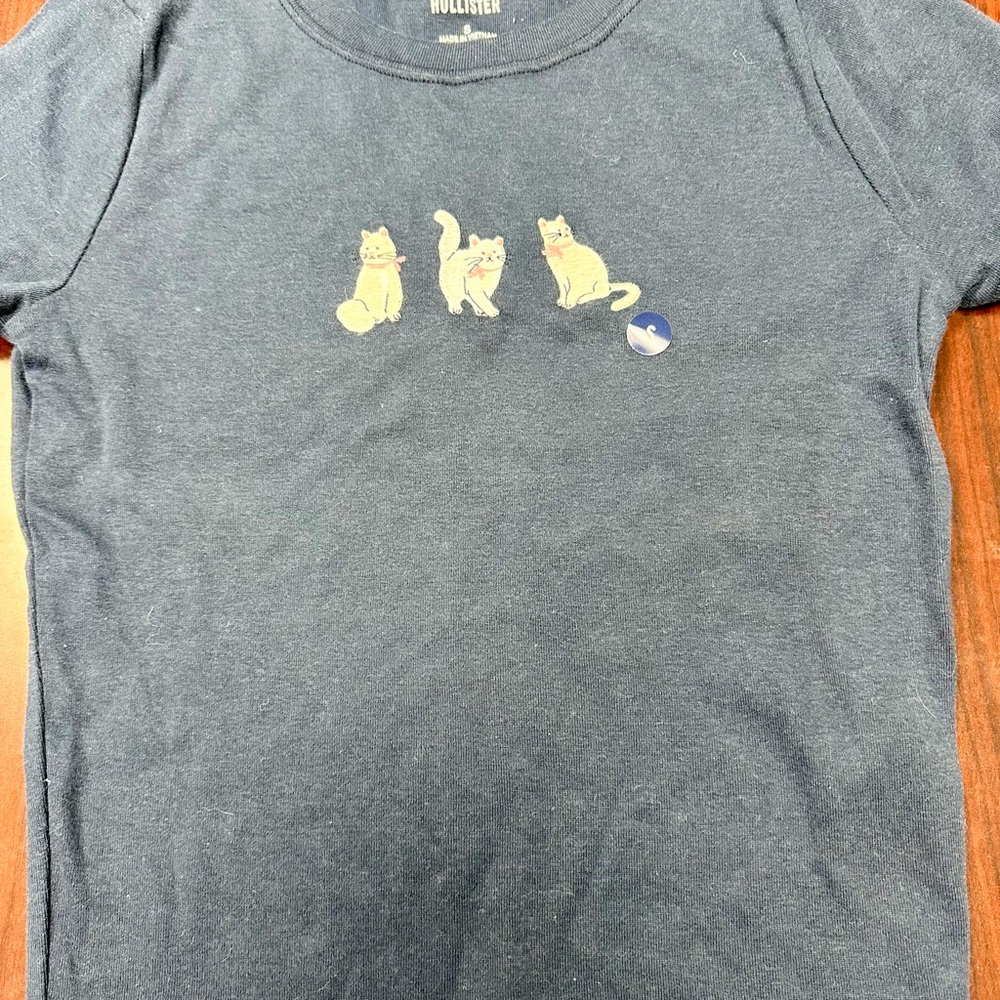 NWT Hollister Cat T-Shirt